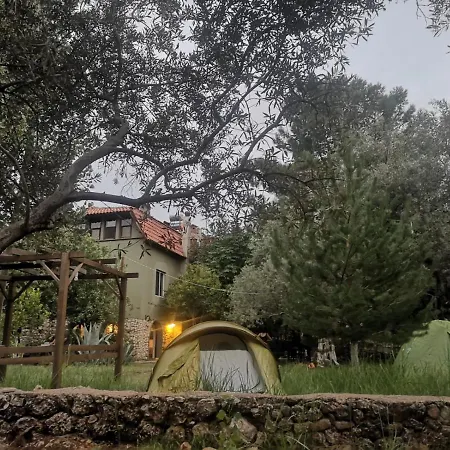 Campıng