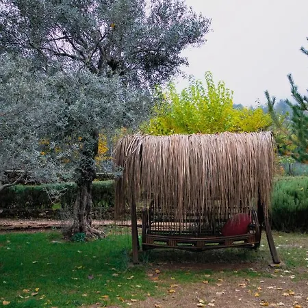 Campıng
